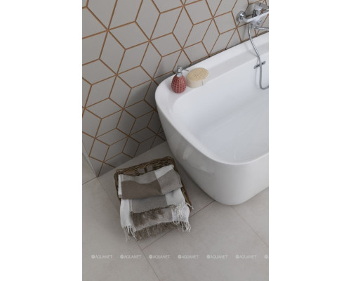 Акриловая ванна Aquanet Family Fine 170x78 95778-GW