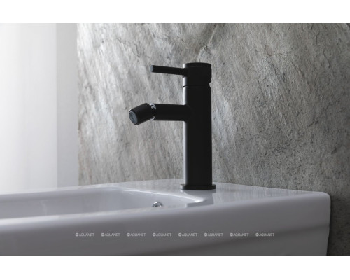 Смеситель для биде Allen Brau Priority 5.31004-31 (с донным клапаном) черный матовый