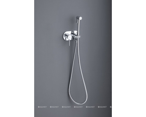 Смеситель с гигиеническим душем Allen Brau Priority 5.31005-00 (с внутренней частью) хром