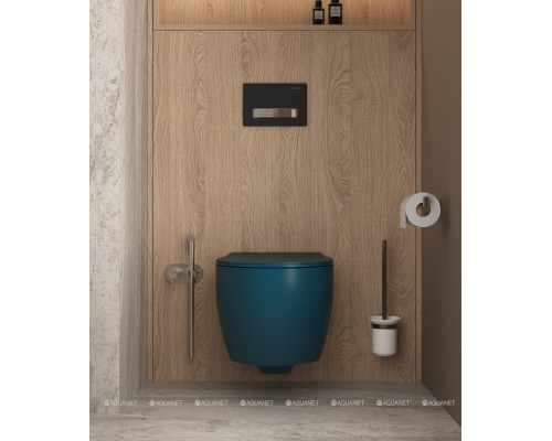 Смеситель с гигиеническим душем Allen Brau Priority 5.31005-BN (с внутренней частью) никель браш