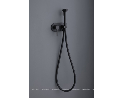 Смеситель с гигиеническим душем Allen Brau Priority 5.31005-31 (с внутренней частью) черный матовый