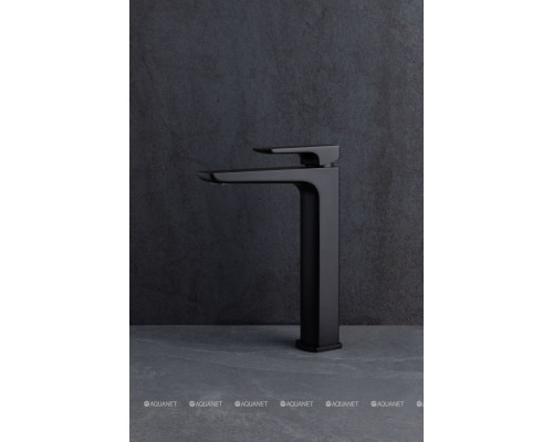 Смеситель для раковины Allen Brau Infinity 5.21002-31 черный матовый