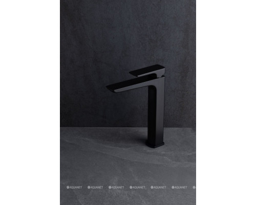 Смеситель для раковины Allen Brau Infinity 5.21002-31 черный матовый