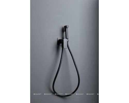 Смеситель с гигиеническим душем Allen Brau Infinity 5.21005-31 (с внутренней частью) черный матовый