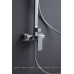 Душевая стойка Allen Brau Infinity 5.21012-00 хром