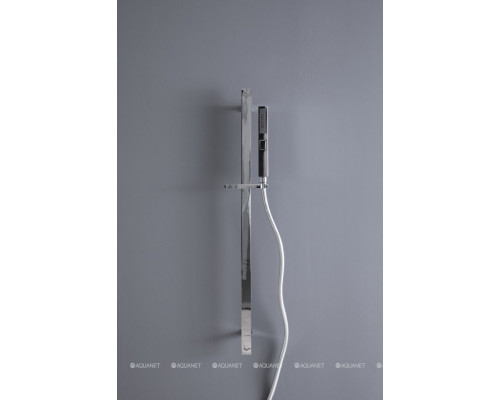 Душевой гарнитур Allen Brau Infinity 5.21013-00 хром