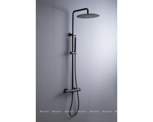 Душевая стойка Allen Brau Fantasy 5.11001-31 черный матовый