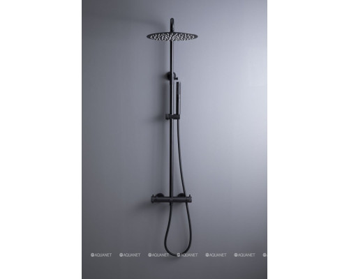 Душевая стойка Allen Brau Fantasy 5.11001-31 черный матовый