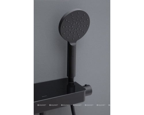 Смеситель для душа Allen Brau Fantasy 5.11002-31 черный матовый