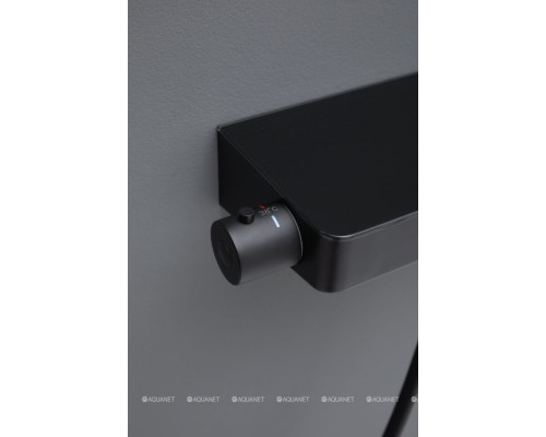 Смеситель для душа Allen Brau Fantasy 5.11002-31 черный матовый