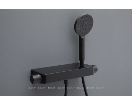 Смеситель для душа Allen Brau Fantasy 5.11002-31 черный матовый