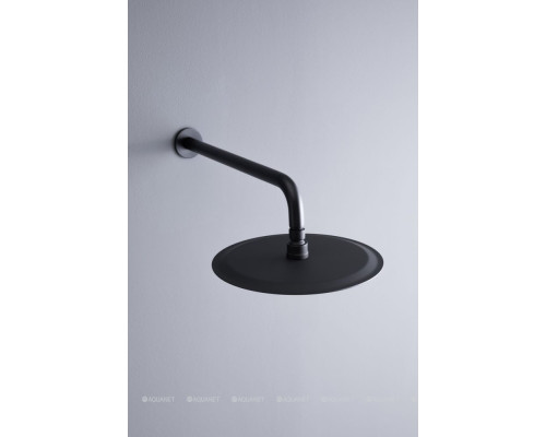 Верхний душ Allen Brau Priority 5.31017-31 черный матовый