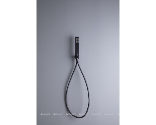 Душевой гарнитур Allen Brau Infinity 5.21021-31 черный матовый