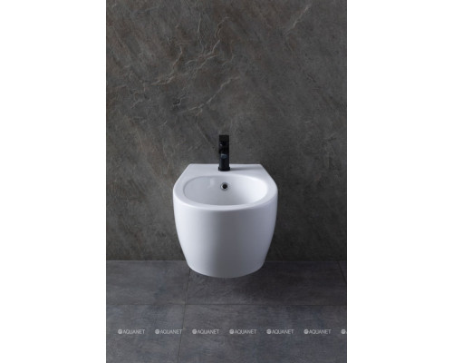 Биде подвесное Allen Brau Fantasy 4.11006.20 белый глянец