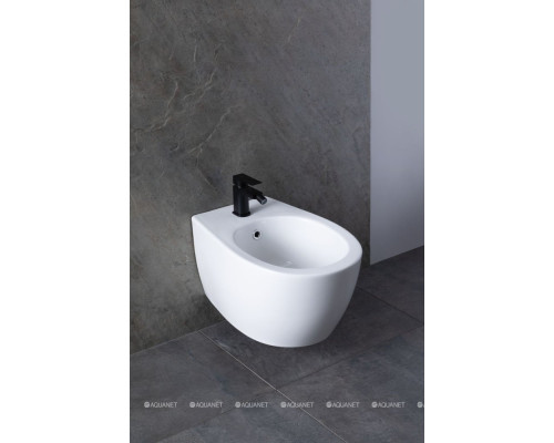 Биде подвесное Allen Brau Fantasy 4.11006.20 белый глянец