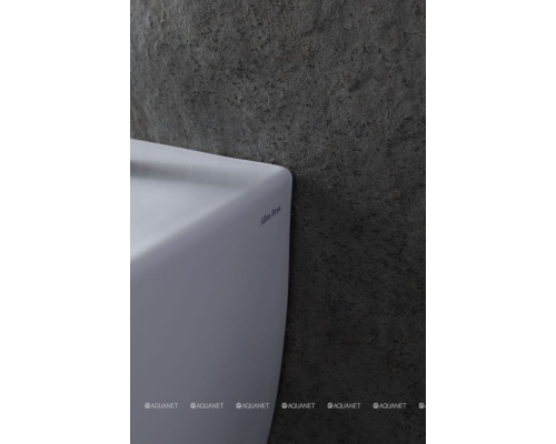 Биде подвесное Allen Brau Fantasy 4.11006.20 белый глянец