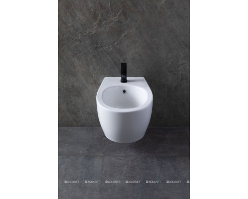 Биде подвесное Allen Brau Fantasy 4.11006.20 белый глянец