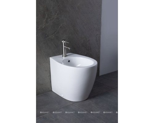 Биде напольное Allen Brau Fantasy 4.11008.20 белый глянец