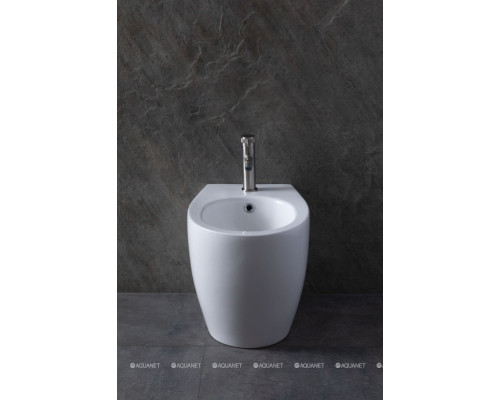 Биде напольное Allen Brau Fantasy 4.11008.20 белый глянец