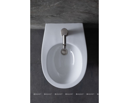 Биде напольное Allen Brau Fantasy 4.11008.20 белый глянец