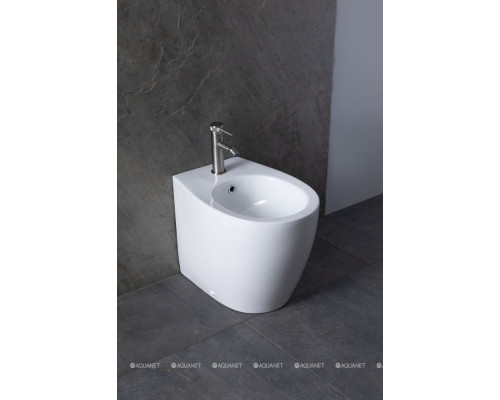 Биде напольное Allen Brau Fantasy 4.11008.20 белый глянец