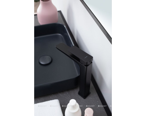 Раковина накладная Allen Brau Fantasy 50 4.11021.31 черный матовый