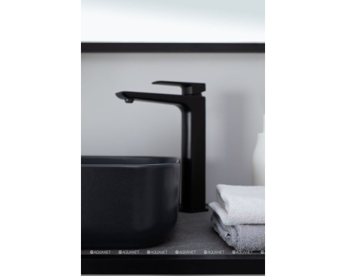 Раковина накладная Allen Brau Fantasy 50 4.11021.31 черный матовый