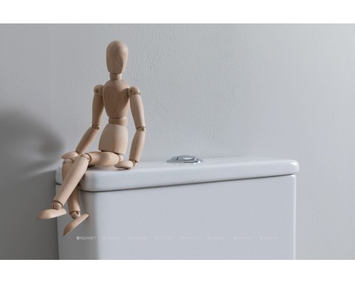 Унитаз-компакт Aquanet Fine Rimless FINE-C Soft Close