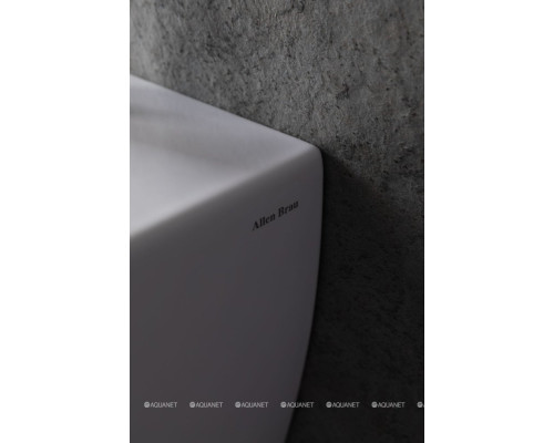 Биде подвесное Allen Brau Liberty 4.33005.20 белый глянец