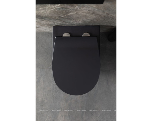 Унитаз подвесной Allen Brau Reality 4.32006.31 черный матовый