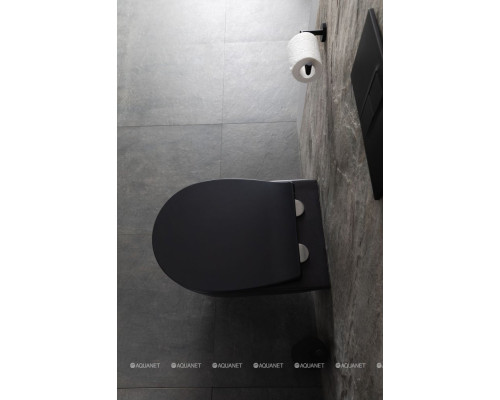 Унитаз подвесной Allen Brau Reality 4.32006.31 черный матовый