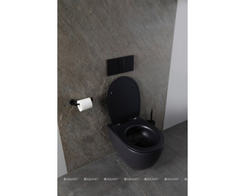 Унитаз подвесной Allen Brau Reality 4.32006.31 черный матовый