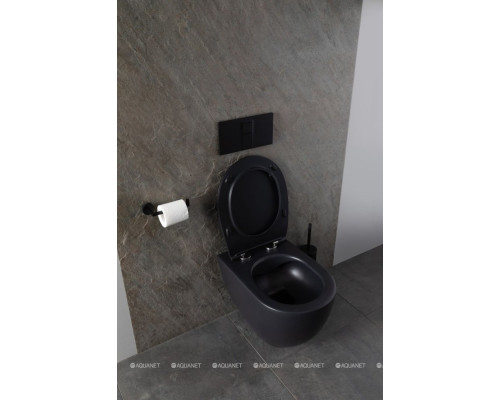 Унитаз подвесной Allen Brau Reality 4.32006.31 черный матовый