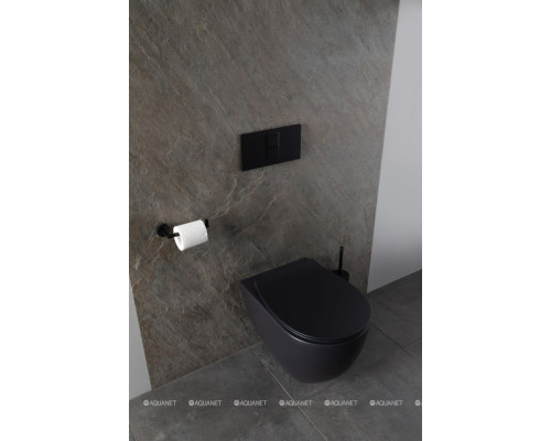 Унитаз подвесной Allen Brau Reality 4.32006.31 черный матовый