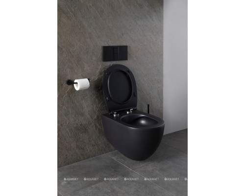 Унитаз подвесной Allen Brau Reality 4.32006.31 черный матовый