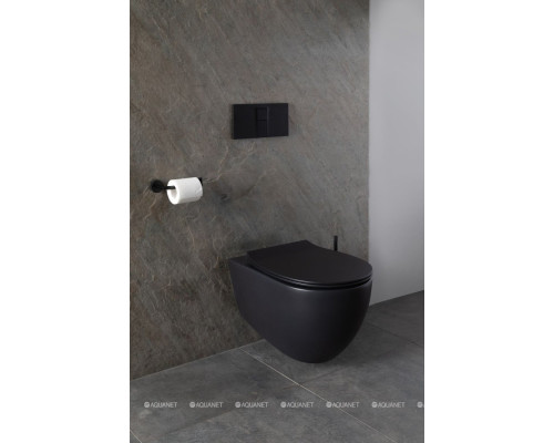 Унитаз подвесной Allen Brau Reality 4.32006.31 черный матовый