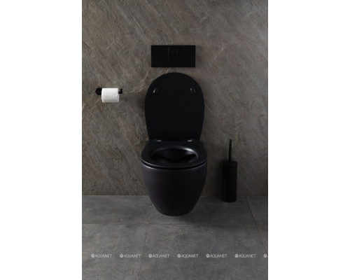 Унитаз подвесной Allen Brau Reality 4.32006.31 черный матовый