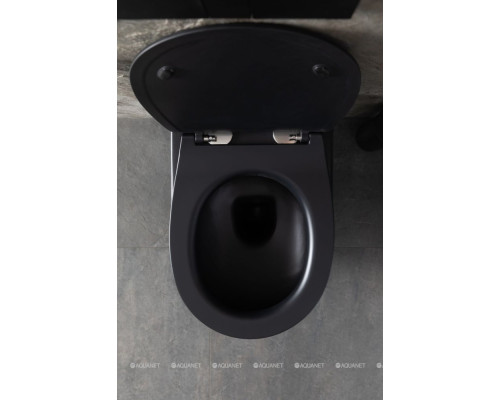 Унитаз подвесной Allen Brau Reality 4.32006.31 черный матовый