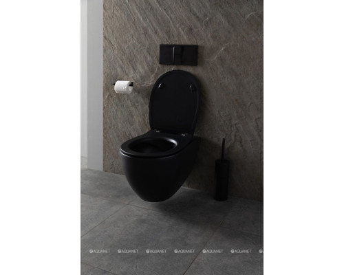 Унитаз подвесной Allen Brau Reality 4.32006.31 черный матовый