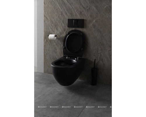 Унитаз подвесной Allen Brau Reality 4.32006.31 черный матовый