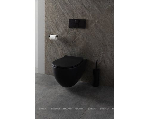 Унитаз подвесной Allen Brau Reality 4.32006.31 черный матовый