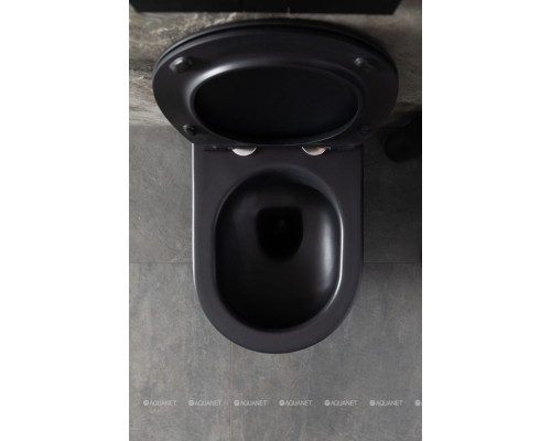 Унитаз подвесной Allen Brau Reality 4.32006.31 черный матовый