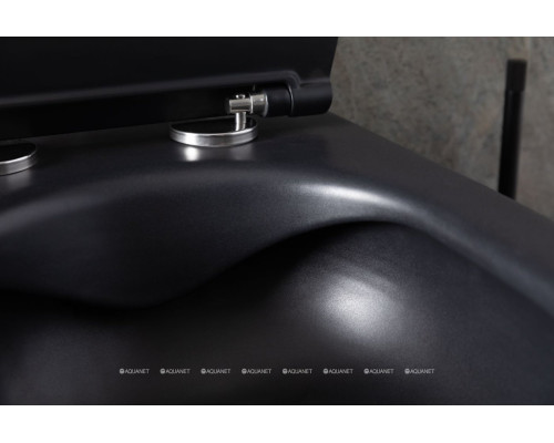 Унитаз подвесной Allen Brau Reality 4.32006.31 черный матовый