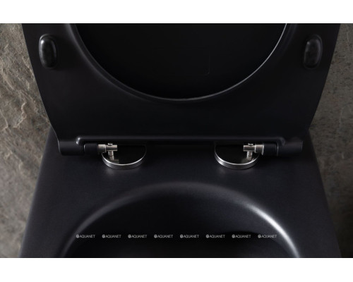 Унитаз подвесной Allen Brau Reality 4.32006.31 черный матовый