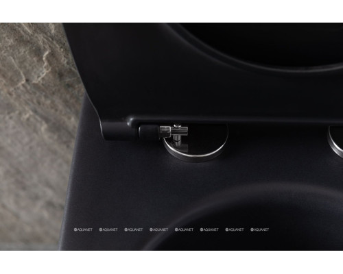 Унитаз подвесной Allen Brau Reality 4.32006.31 черный матовый