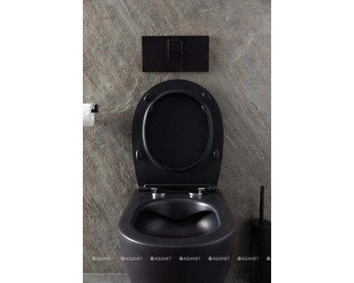 Унитаз подвесной Allen Brau Reality 4.32006.31 черный матовый