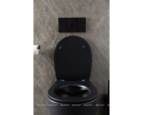 Унитаз подвесной Allen Brau Reality 4.32006.31 черный матовый