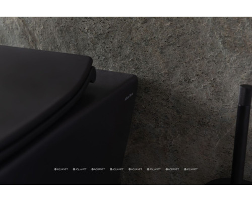 Унитаз подвесной Allen Brau Reality 4.32006.31 черный матовый