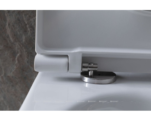 Унитаз подвесной Allen Brau Reality 4.32006.20 белый