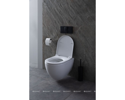 Унитаз подвесной Allen Brau Reality 4.32006.20 белый